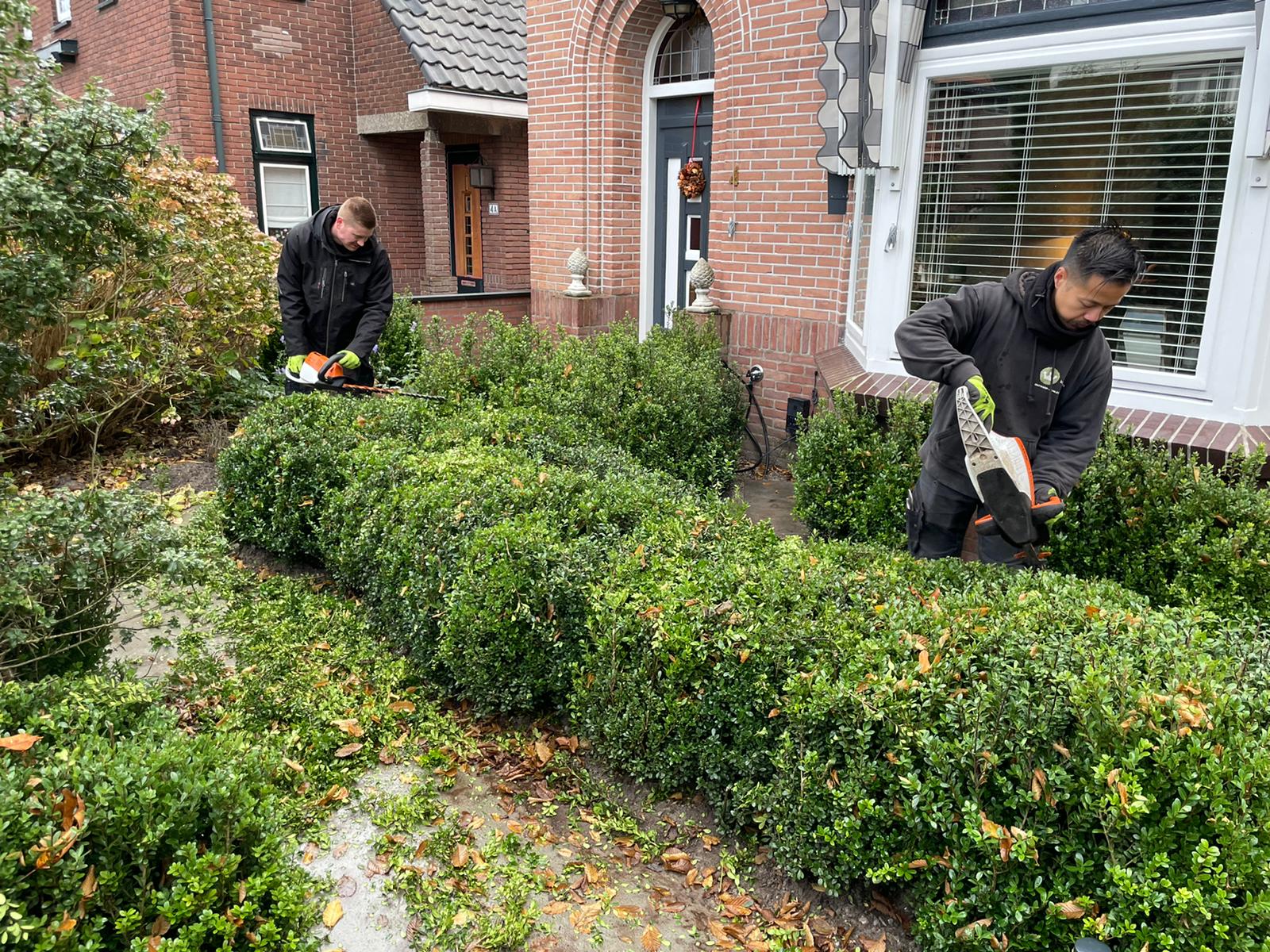 tuinonderhoud Lisse snoeien