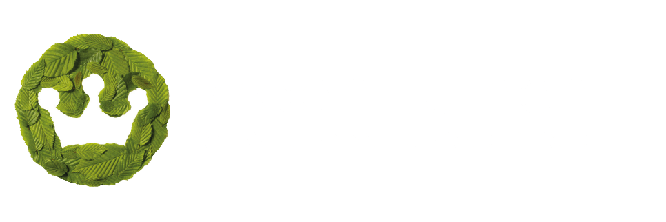 https://kroon-tuinen.nl/wp-content/uploads/2021/12/cropped-kroon-tuinen-diap.png