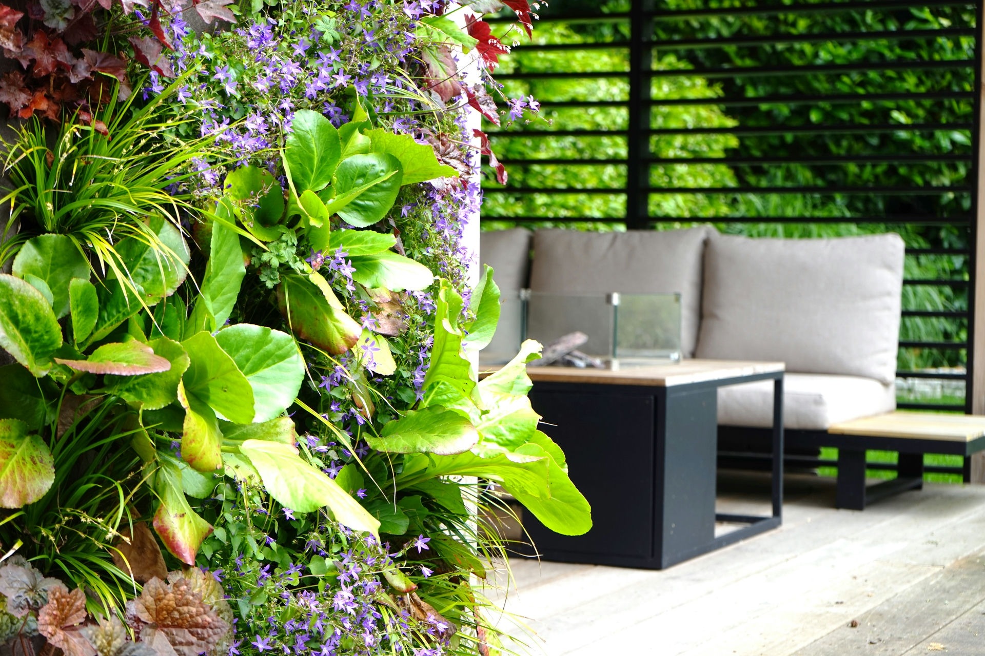 kroon tuinen hovenier