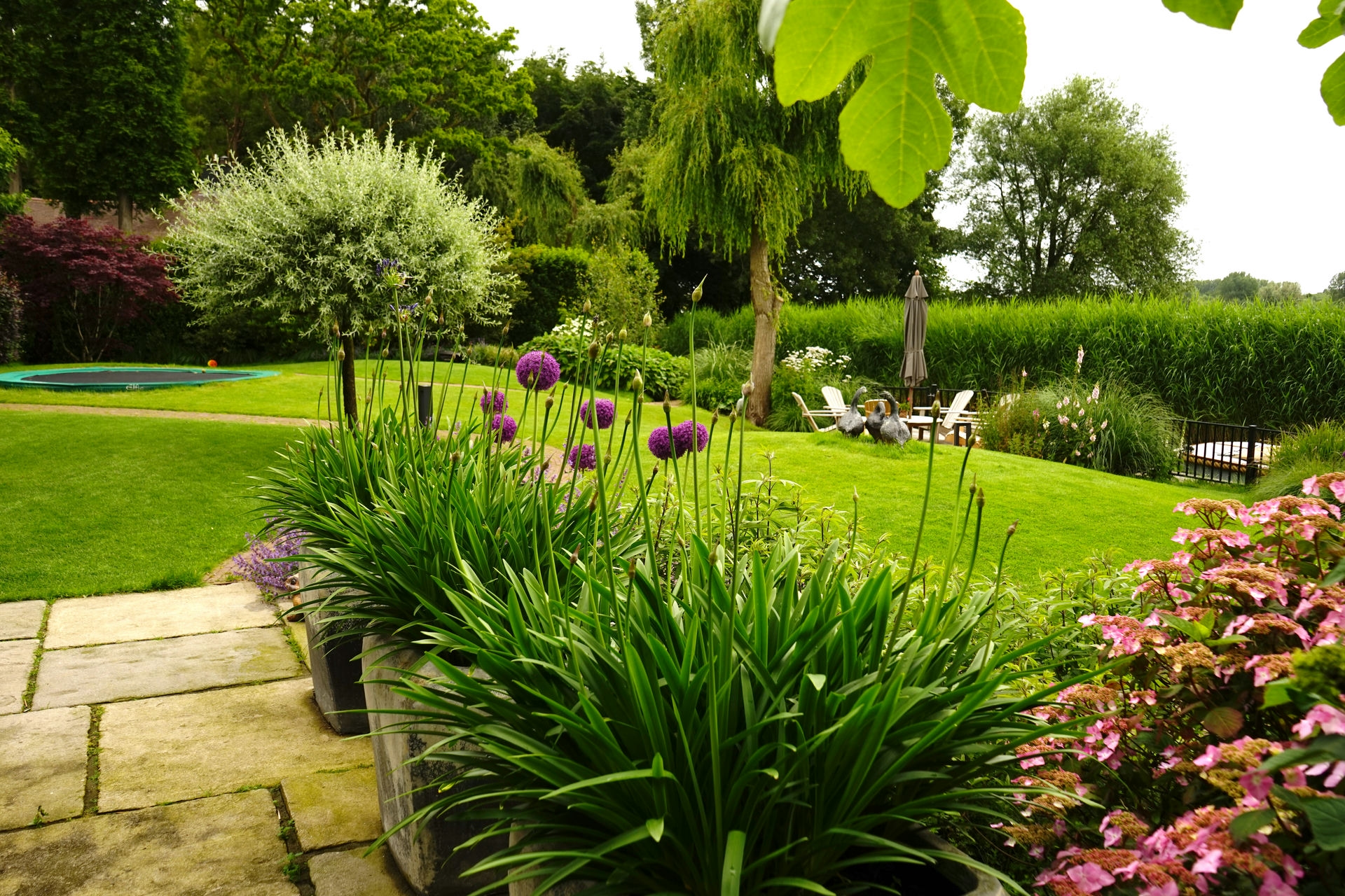 huisje boompje feestje